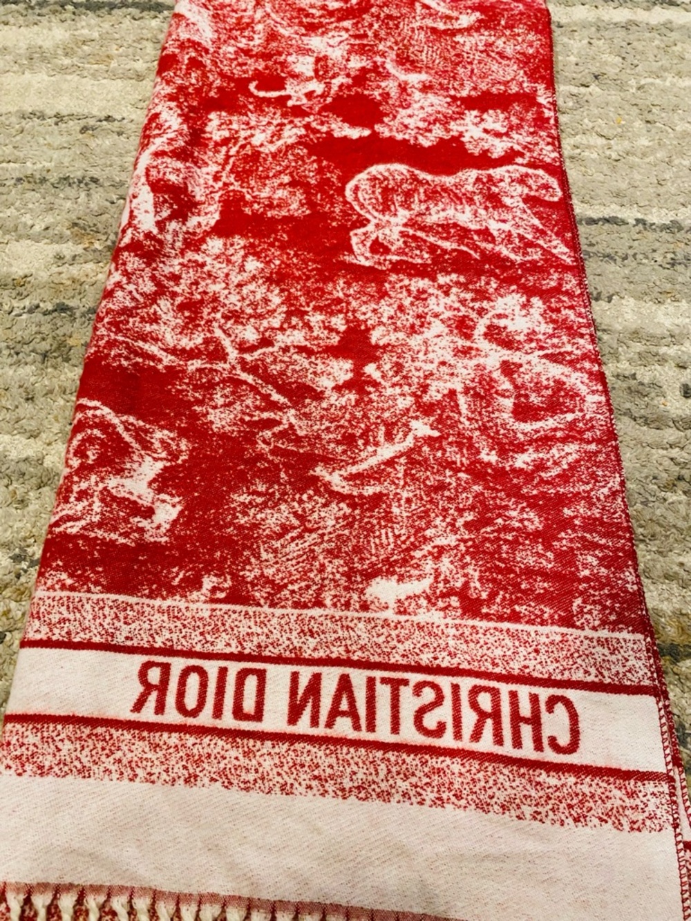 Dior Toile De Jouy Sauvage Scarf - Picture 7 of 8